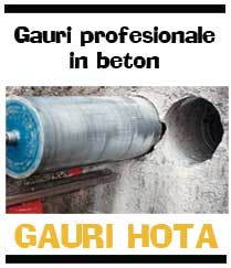 gauri de hota